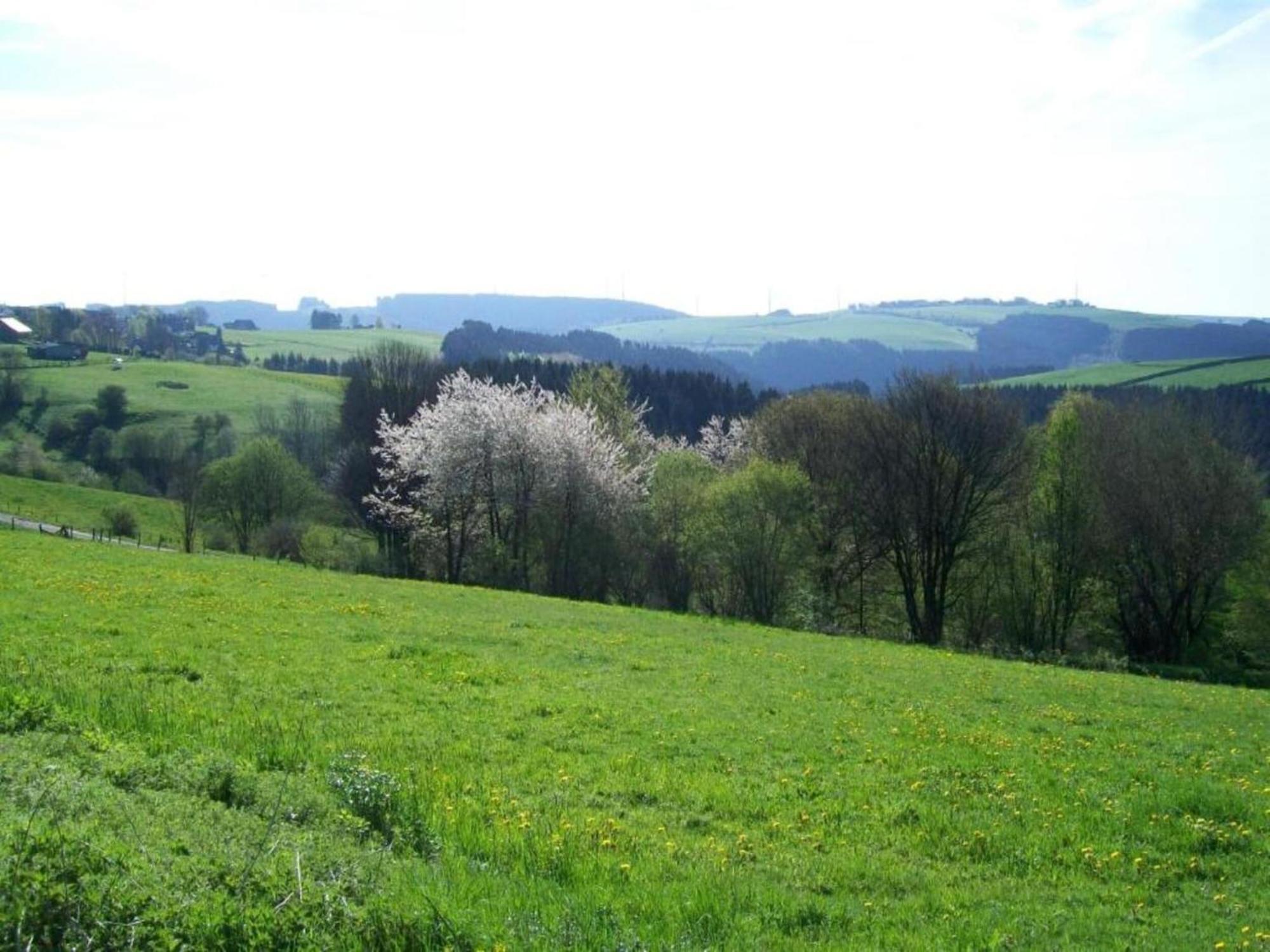 Holiday Home With Garden In Hellenthal Eifel Eksteriør bilde